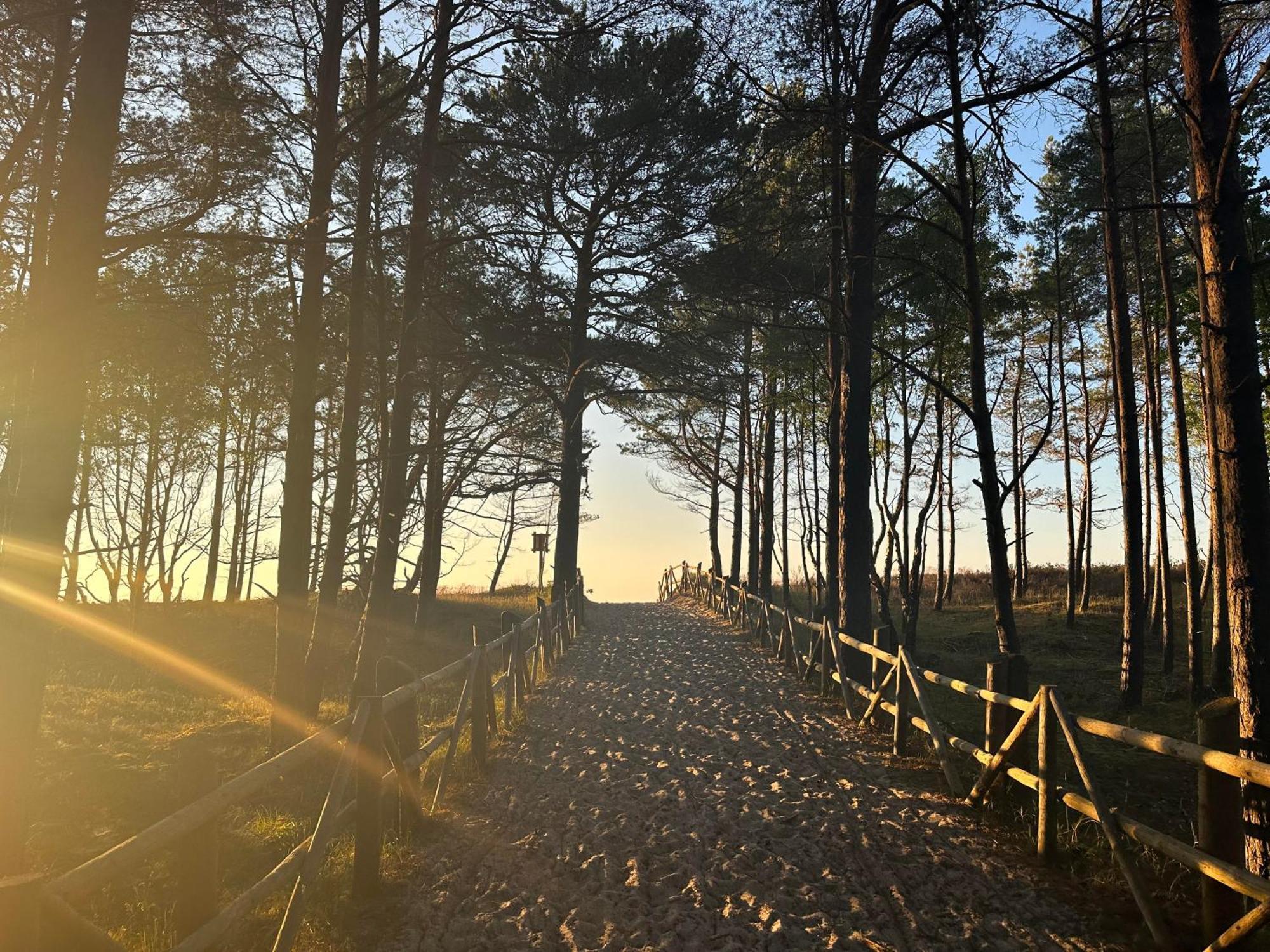 Morze2 - Domy Caloroczne Nad Morzem Lubiatowo  Exterior foto